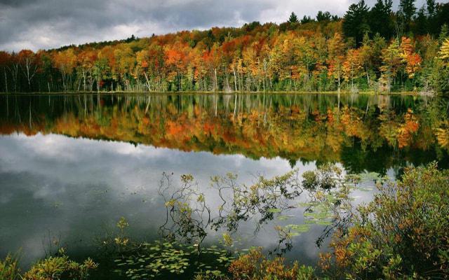 看风水算卦都是道教吗
