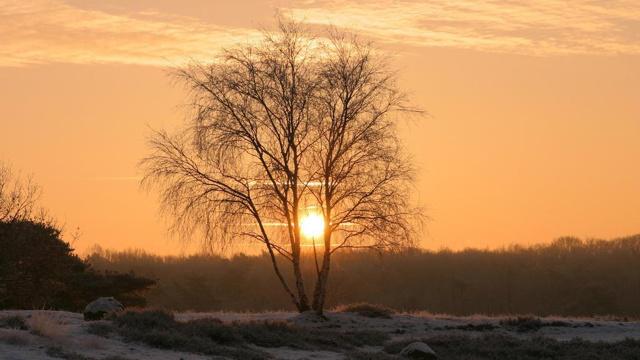 男命八字无财会发财吗 男命八字无财会发财吗