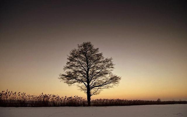 党员可以学习风水知识吗