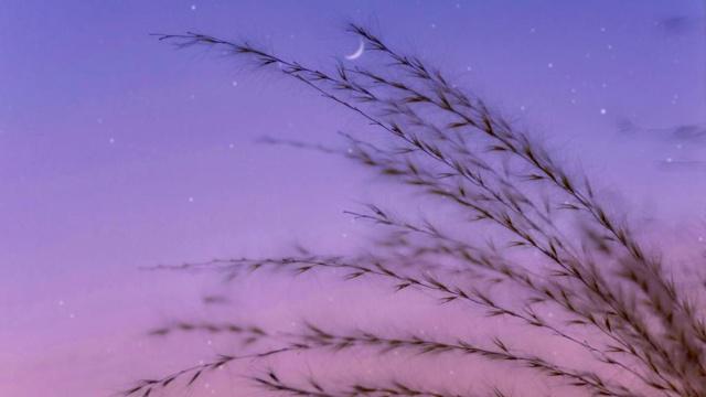 八字命理南坡先生 八字命理南坡先生