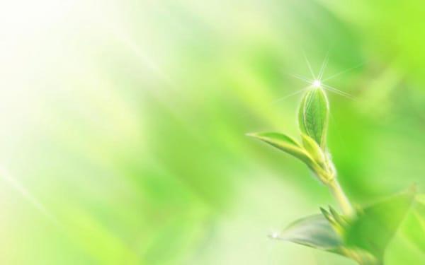 养殖鱼池风水讲究吗 养殖鱼池风水讲究吗