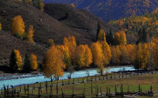 周韵姜文八字命理