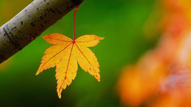 风水衰败的老房子还能建吗