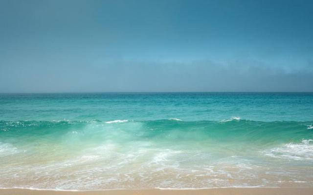 风水中鱼缸算活水吗