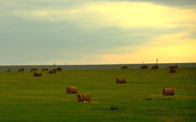 养牛风水讲究风水吗 养牛风水讲究风水吗