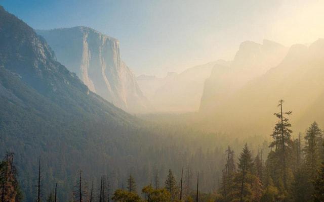 癸未日柱男命爱妻子吗 癸未日柱男命爱妻子吗