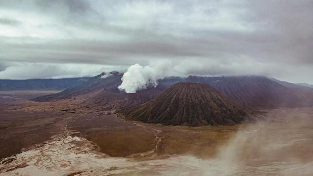虎宝宝最忌讳属相兄妹 刑克冲煞冲蛇和猴 虎宝宝最忌讳属相兄妹 刑克冲煞冲蛇和猴