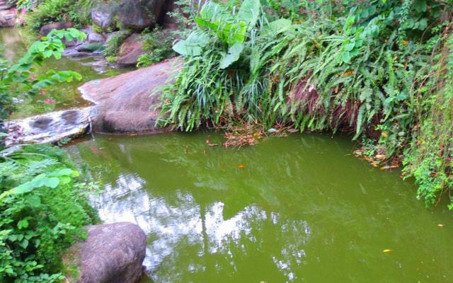 升官的八字命理怎么看