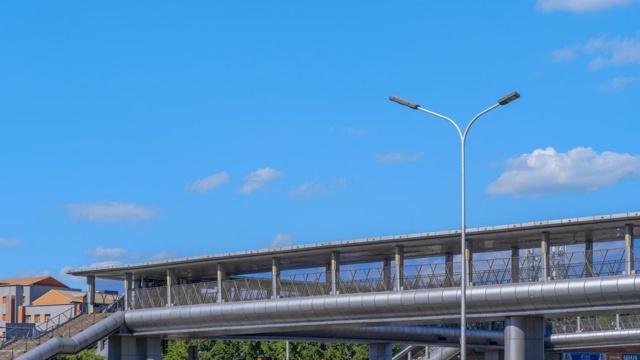 不靠男人 很努力挣钱的生肖女 不靠男人 很努力挣钱的生肖女