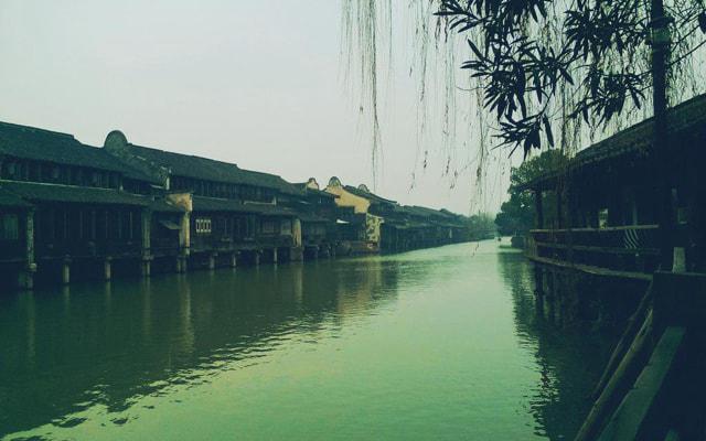 史进是什么生肖 生肖龙和生肖狗