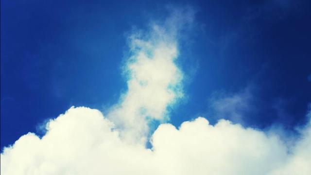 属牛的和什么不合 属相相冲的化解方法 属牛的和什么不合 属相相冲的化解方法