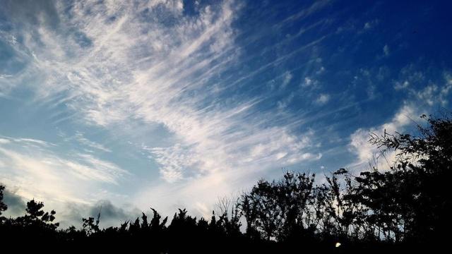 2007年一生的命运 2007年一生的命运