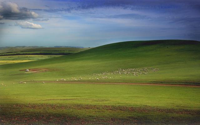 男命八字四干有根 男命八字四干有根