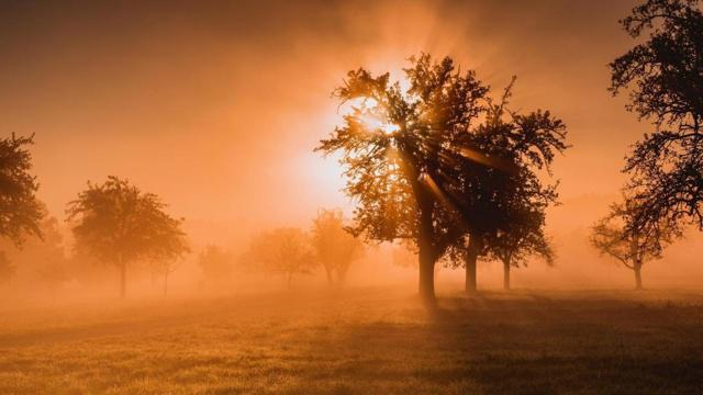 嘴笨的男人八字命理