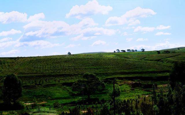 命里有婚姻的八字男孩子