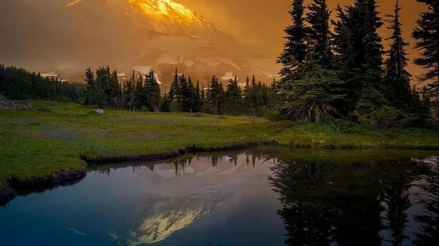 八字命理看特朗普连任