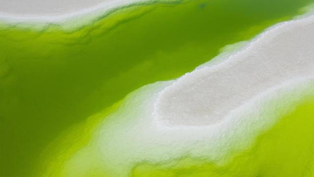 要怎样看八字命理分析