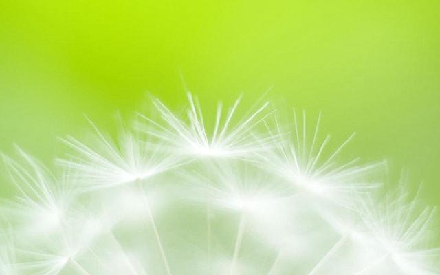 哲学家 这些生肖总在探索人生的意义 哲学家 这些生肖总在探索人生的意义