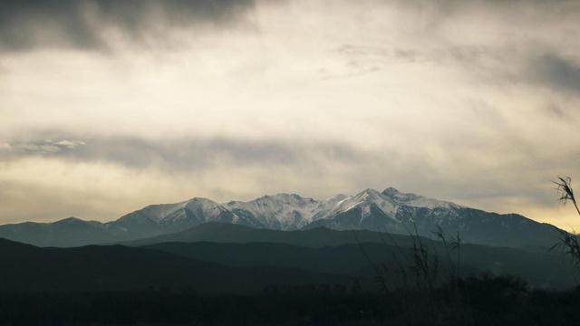 总是牺牲自己照亮他人的生肖,无私奉献惹人爱 总是牺牲自己照亮他人的生肖,无私奉献惹人爱