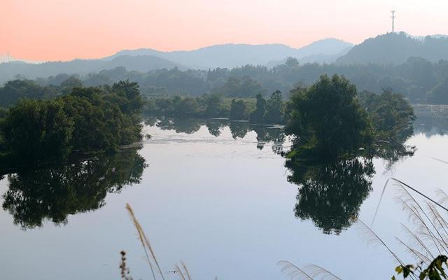 八字命理小诸葛什么意思 八字命理小诸葛什么意思
