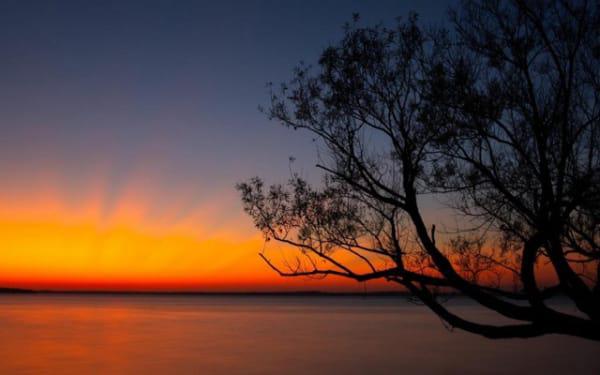 八字中财星是啥命格 八字中财星是啥命格