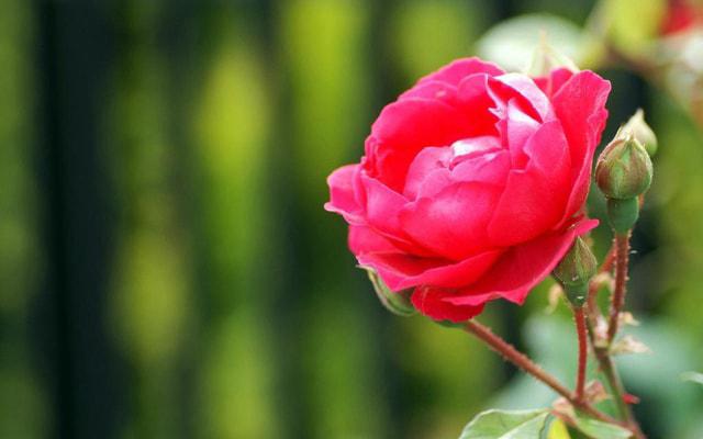 怎么根据八字知道命格好坏 怎么根据八字知道命格好坏