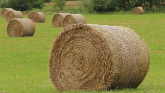 风水对面房屋有开口吗