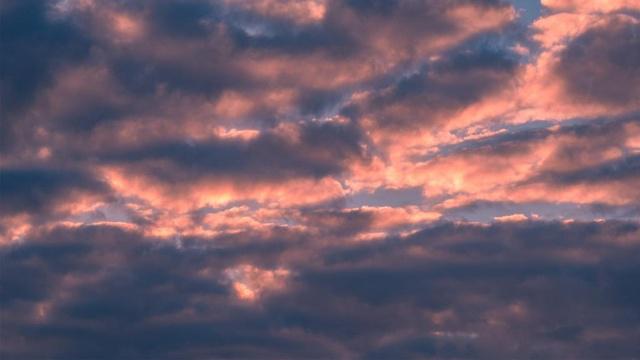 八字是看子女命吗