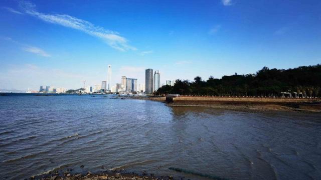 这些生肖的儿女都非常的有出息 这些生肖的儿女都非常的有出息