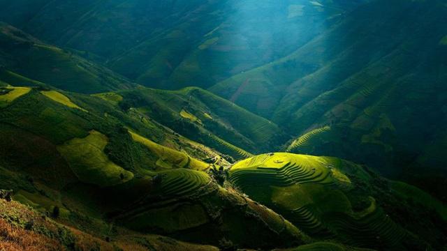 理解八字命理中墓和库