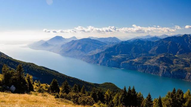 不管花多少钱都要追随潮流的生肖