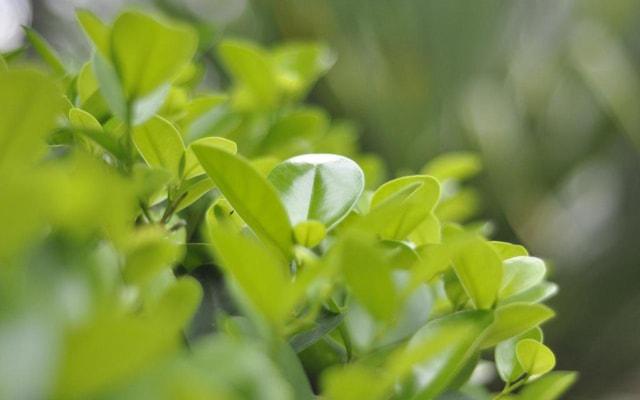 屋内几扇门好风水吗