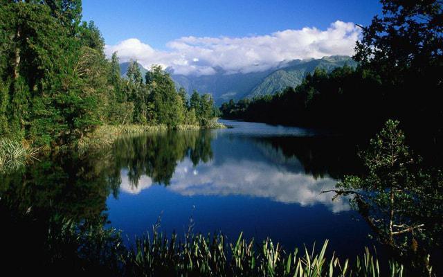 这些生肖言行相顾 重视诚信 这些生肖言行相顾 重视诚信