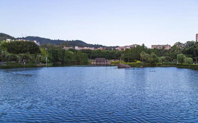 难以八面玲珑 但依然能受人拥戴的生肖