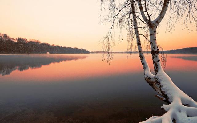 生肖文化 守望相助打一生肖 生肖文化 守望相助打一生肖