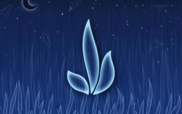 八字里什么是破财的命