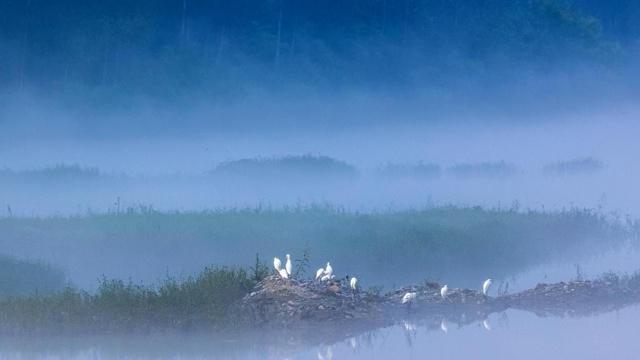 风水送人宝剑有忌讳吗 风水送人宝剑有忌讳吗