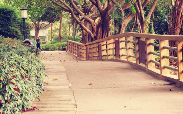 女命八字格局官印相生