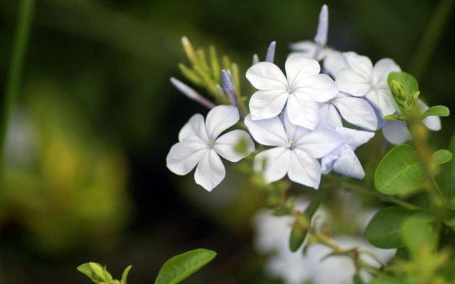 行善后还用看风水吗
