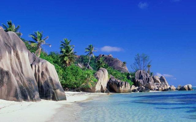 女命八字只有月令伤官 女命八字只有月令伤官