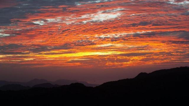 属兔为什么排第四 你知道为什么吗