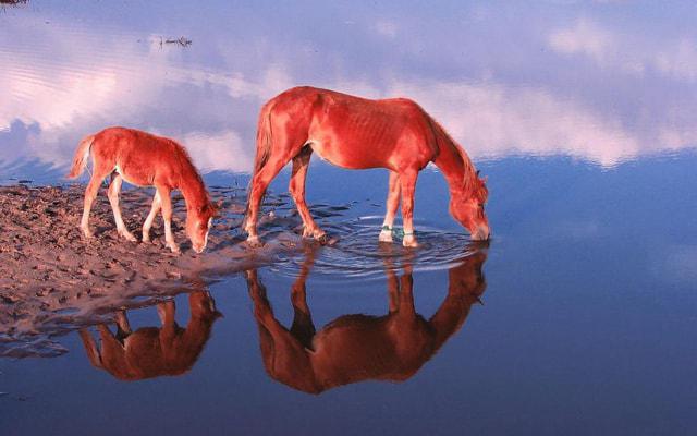 详细了解八字命理分析法 详细了解八字命理分析法