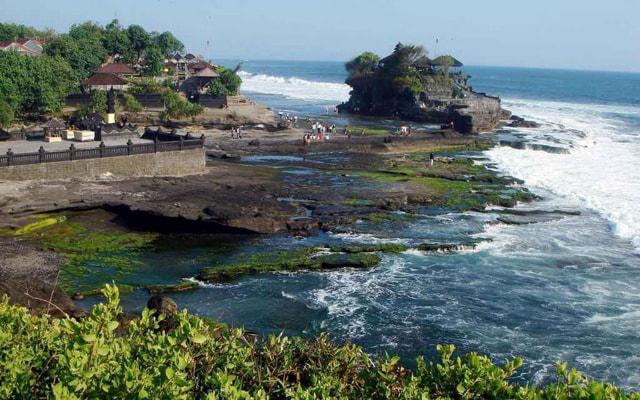 十二生肖如何重拾活下去的信心