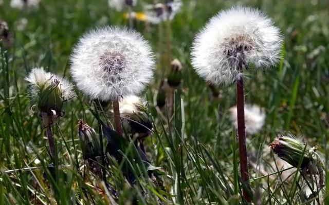 四两二钱女命一生命运 四两二钱女命一生命运