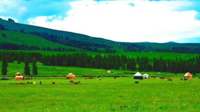 做事偷工减料 总想着走捷径的生肖