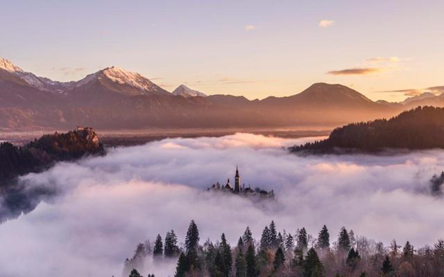惹不起 店家最怕的生肖顾客