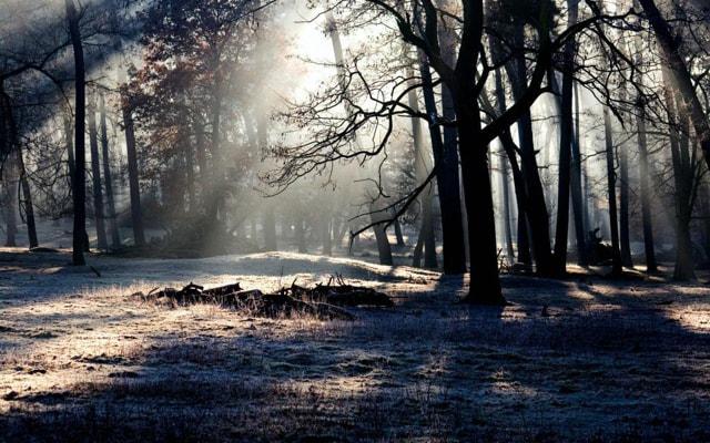 男人无妻的八字命理分析