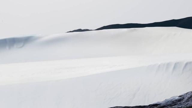 这些生肖男居然也疯狂追星