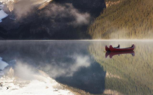 正官格男命的财运 正官格男命的财运