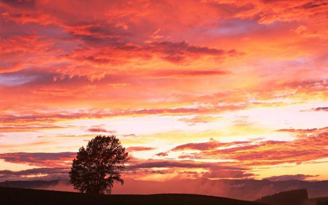 使用qq比微信更多的生肖